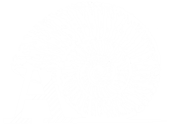 Ammonite Gallery